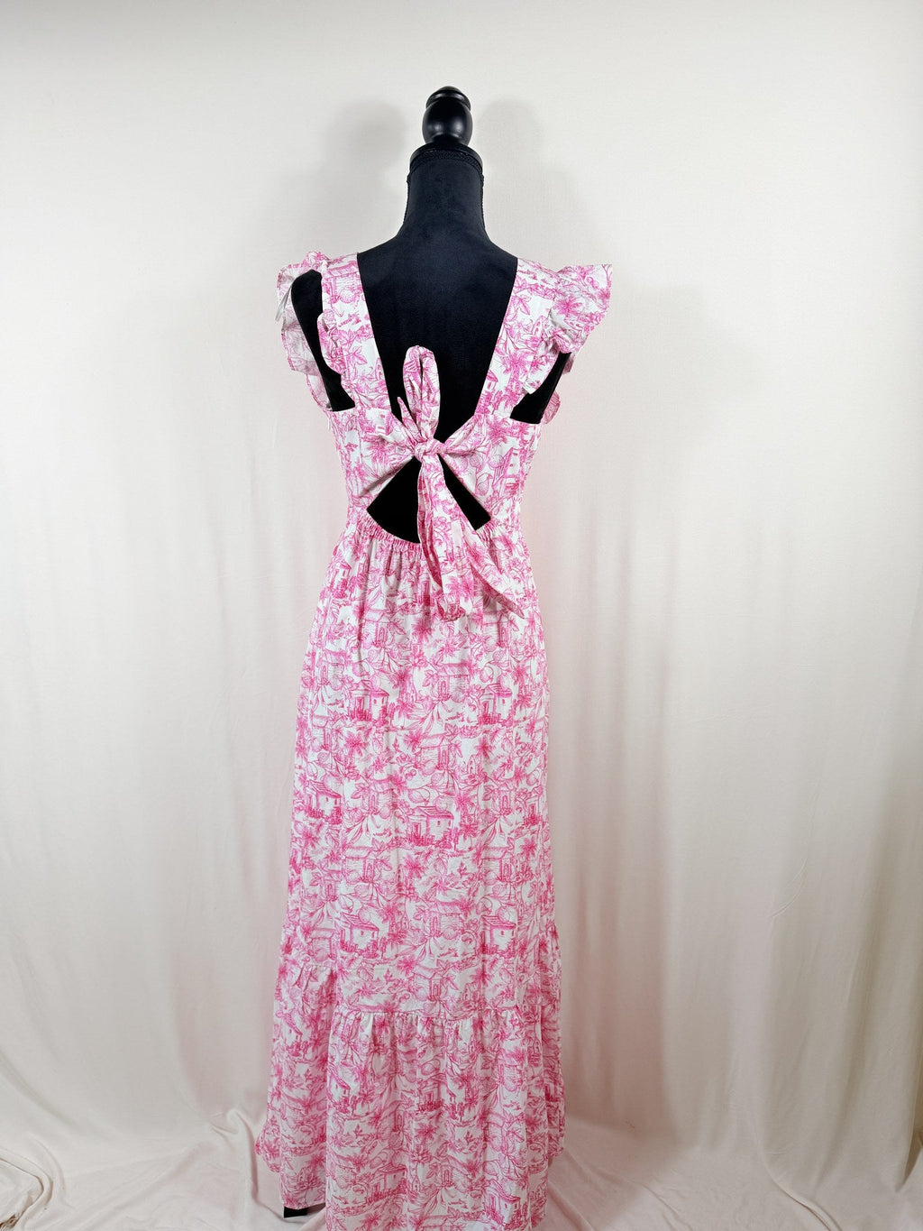 Skies Are Blue Toile Maxi Dress – back