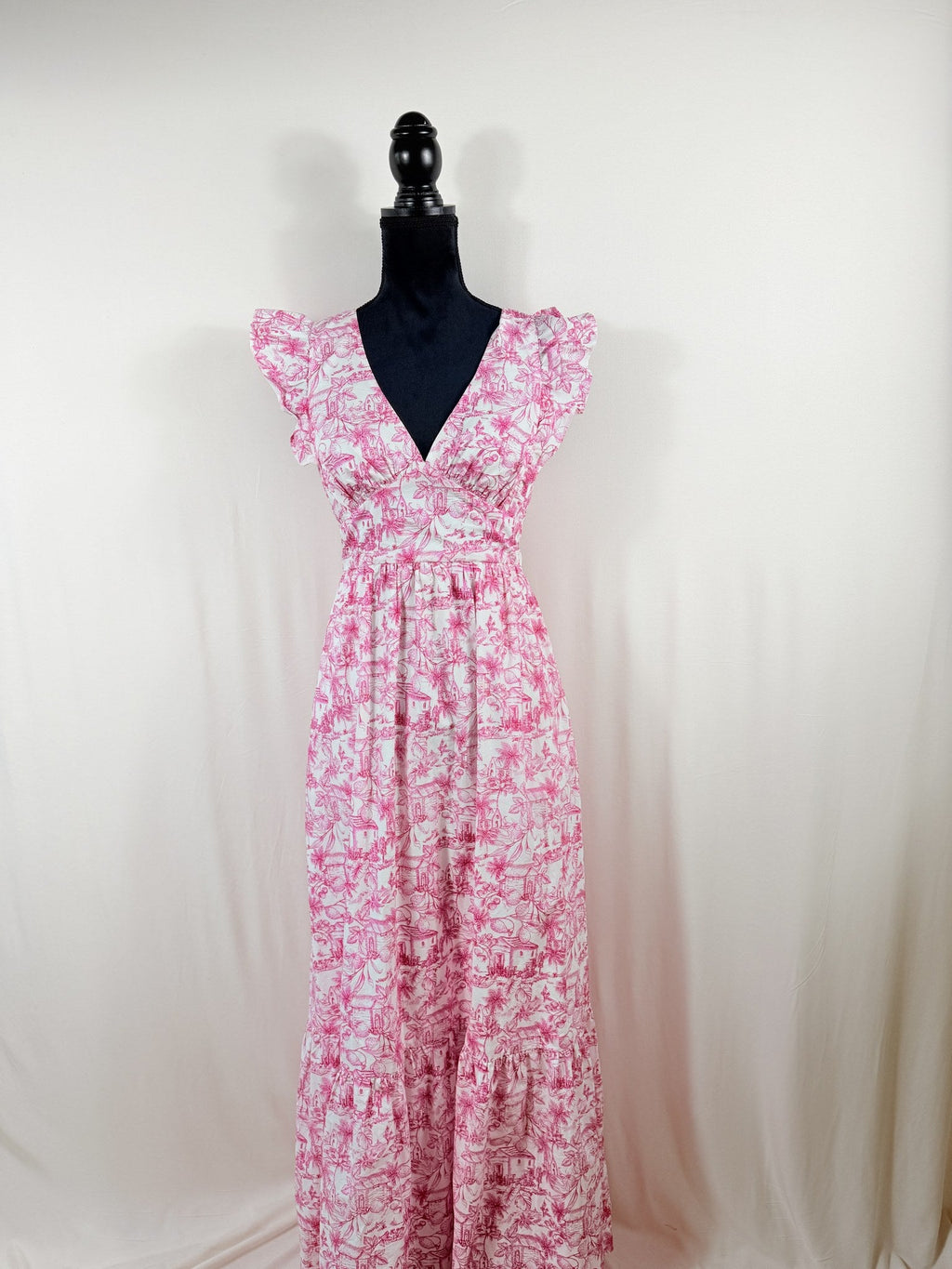 Skies Are Blue Toile Maxi Dress – front