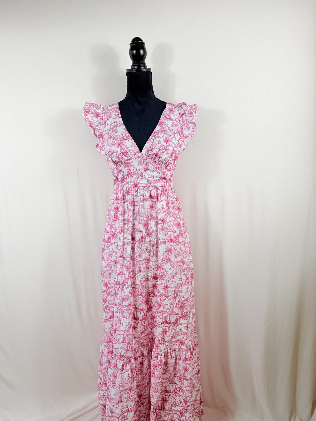 Skies Are Blue Toile Maxi Dress – front