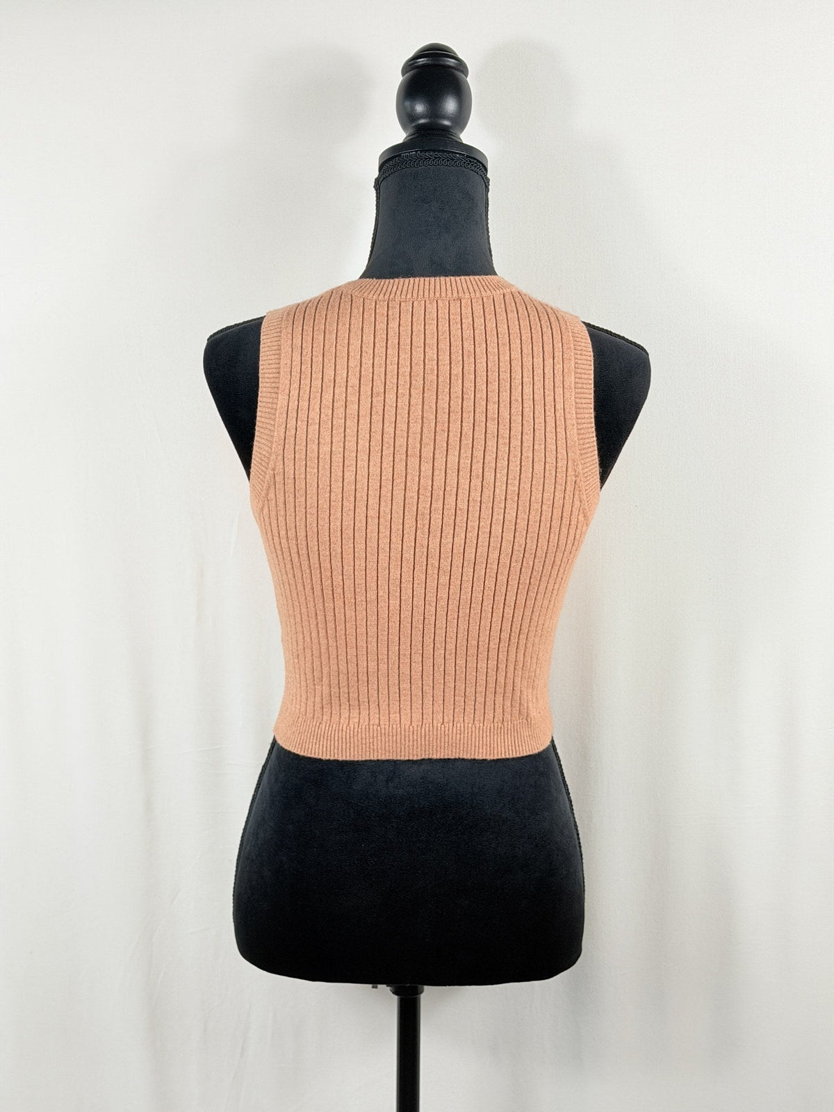 Bardot Tan Ribbed Sleeveless Crop Tank – back