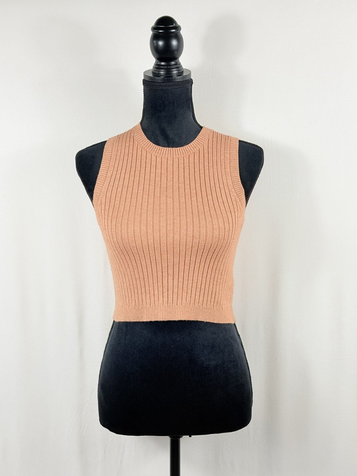 Bardot Tan Ribbed Sleeveless Crop Tank – front